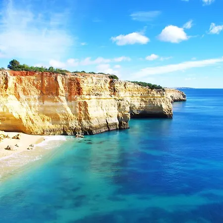 Homes Da Rocha Sun-kissed 50 M Away From The Ocean Apartamento *