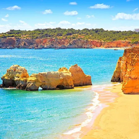 Homes Da Rocha Sun-kissed 50 M Away From The Ocean